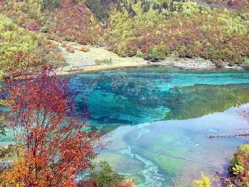 海滩宾馆逃生